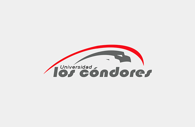 Universidad Los condores